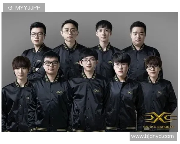 聚焦和平精英RNG战队意识提升与团队协作探讨